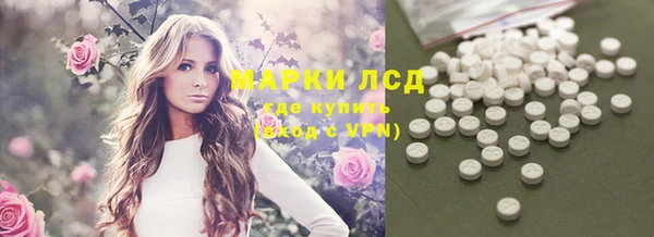 тгк Алзамай